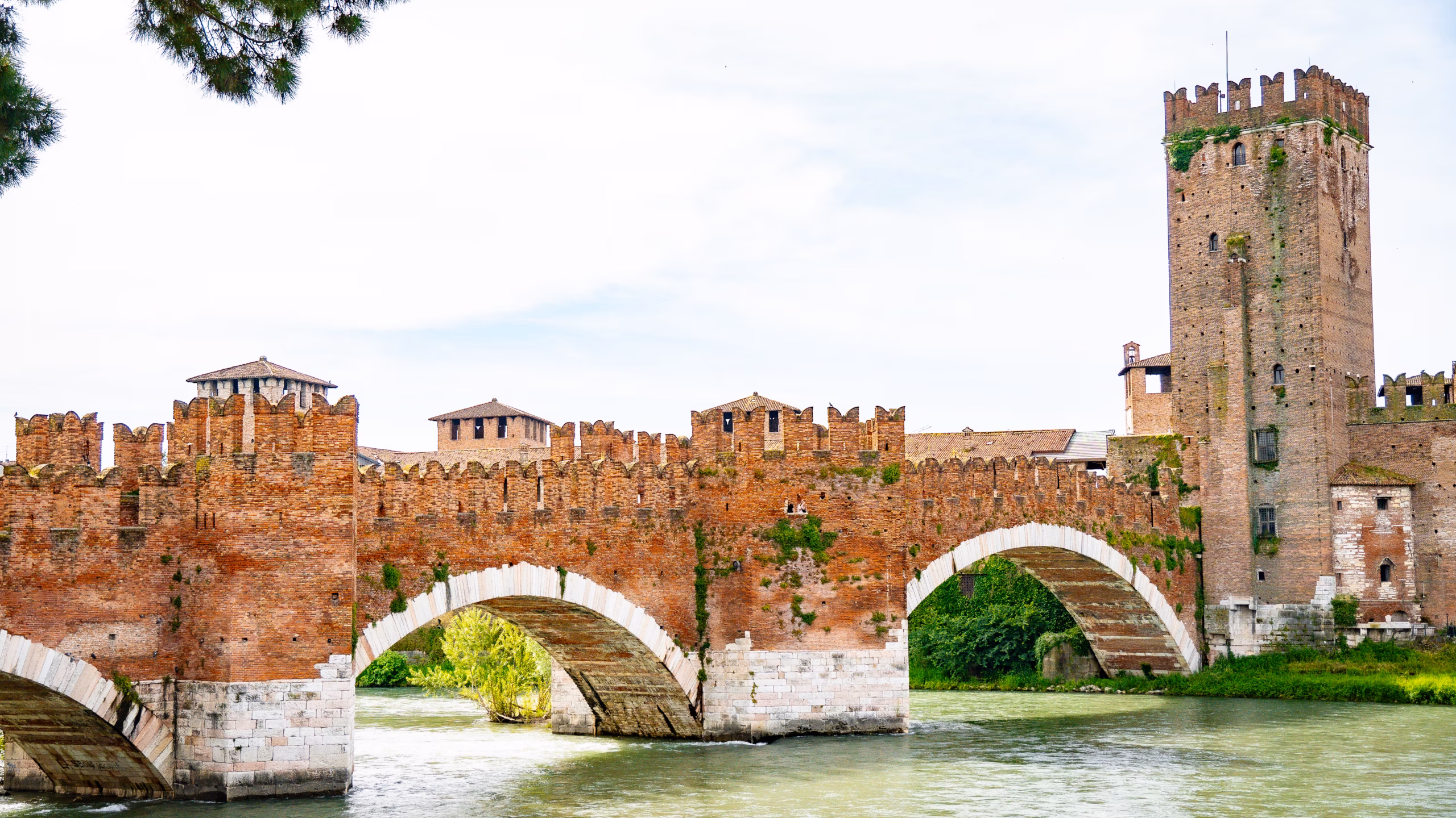 Coltelleria Fazzini - Castelvecchio